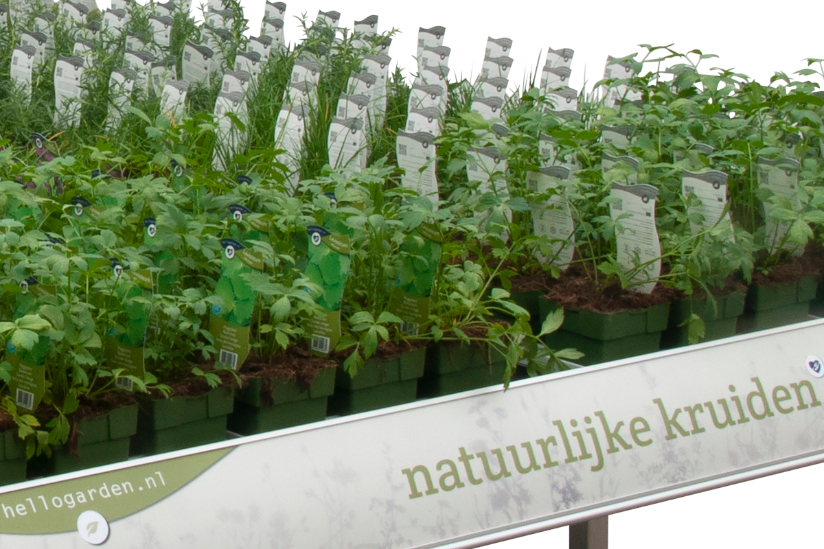 NATUURLIJKE KRUIDEN