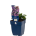 Aster (D) 'Pr. A. Kippenberg'