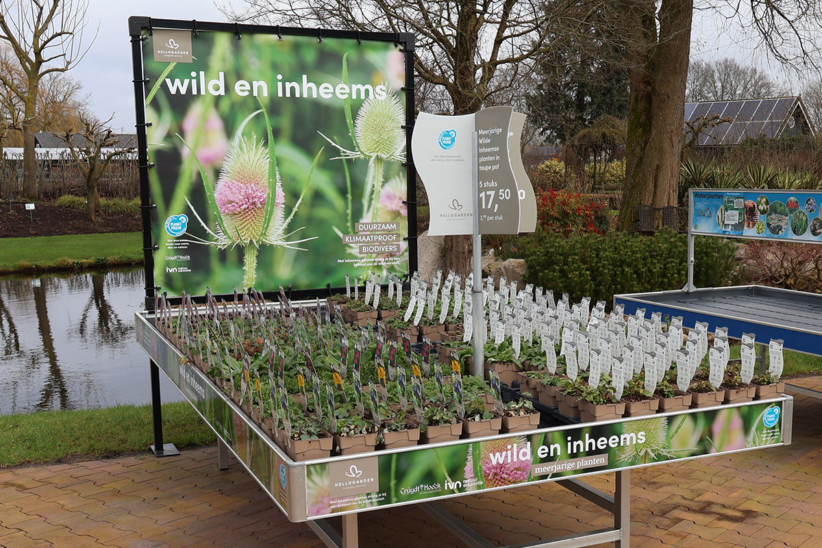 wild en inheems