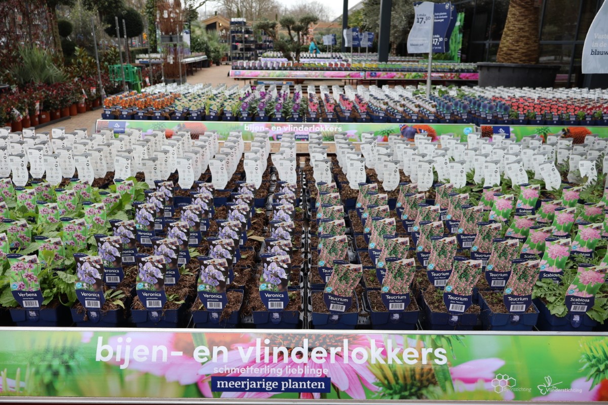 bijen- en vlinderlokkers