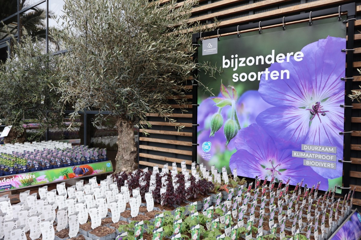 bijzondere soorten
