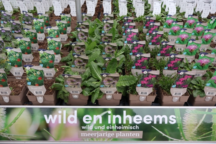 WILD EN INHEEMS