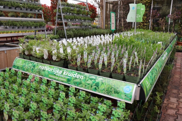 NATUURLIJKE KRUIDEN
