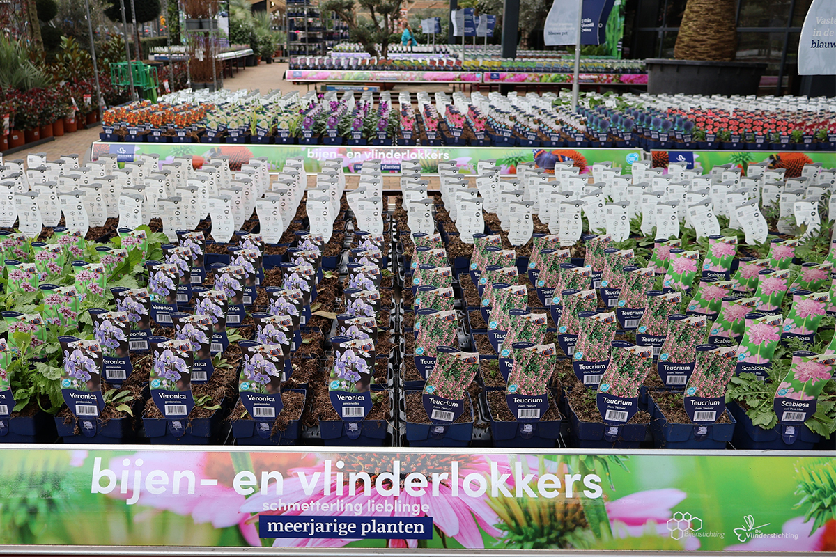 Hello Garden - vlinderlokkers